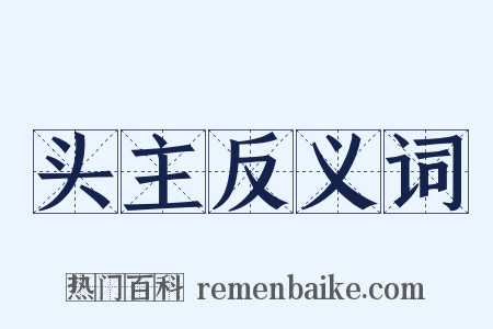 头主反义词是什么意思的图片